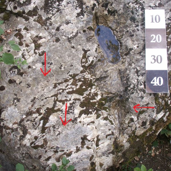 La pietra di Montezago, pillola di sacralità piacentina